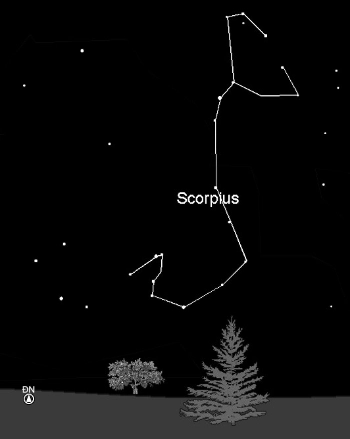 Scorpius